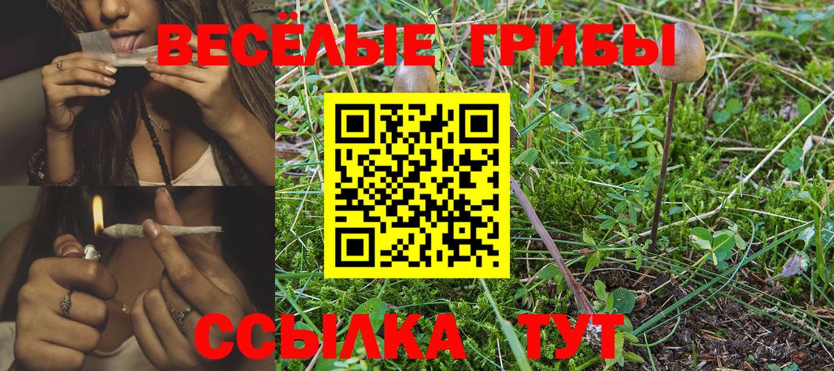 Псилоцибиновые грибы Осинники