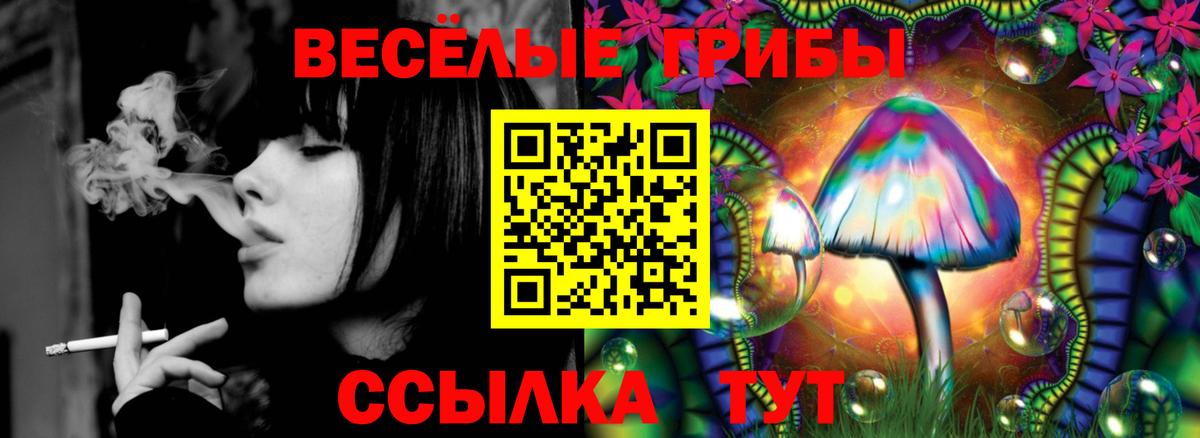 Псилоцибиновые грибы MAGIC MUSHROOMS  Вход с VPN  где продают   Осинники  Псилоцибиновые грибы GOLDEN TEACHER 